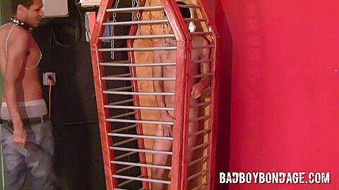 Tormented Like A Caged Animal - Lucas Love & Mikeal