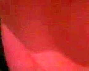 marian franco videos pornos